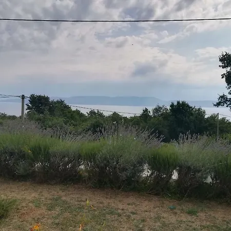 Darko * Raša